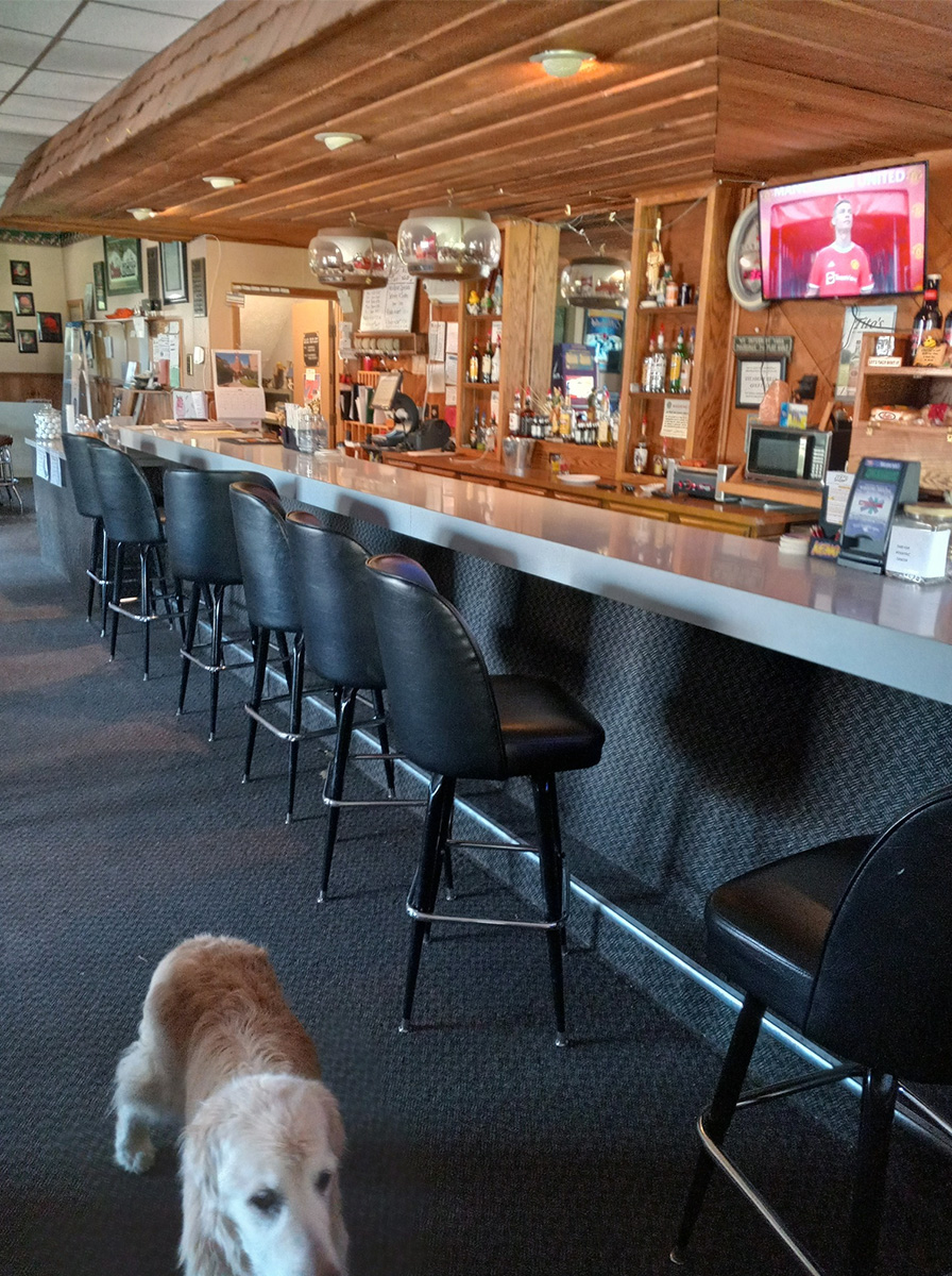sycamore-hills-dog-bar